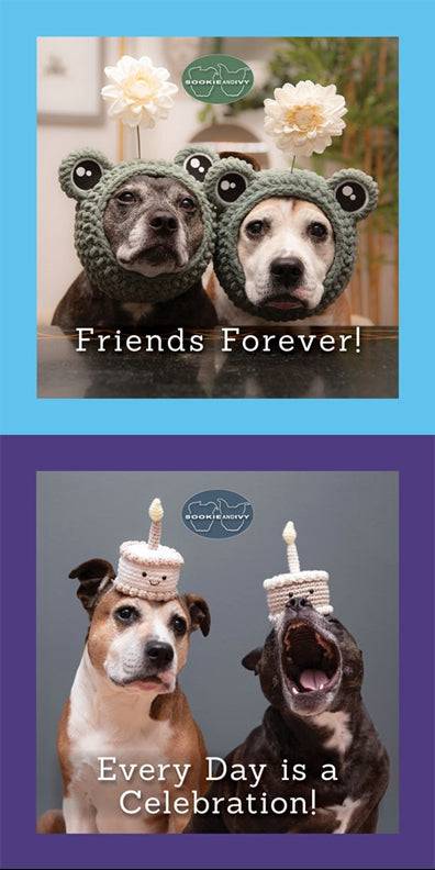 Fineline #6 - Pets & People