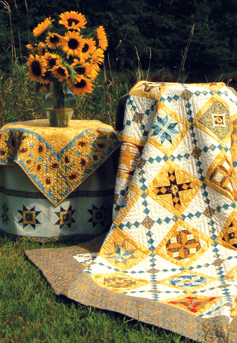 Penny Haren's Pieced Appliqué More Blocks & Projects - Fox Chapel Publishing Co.