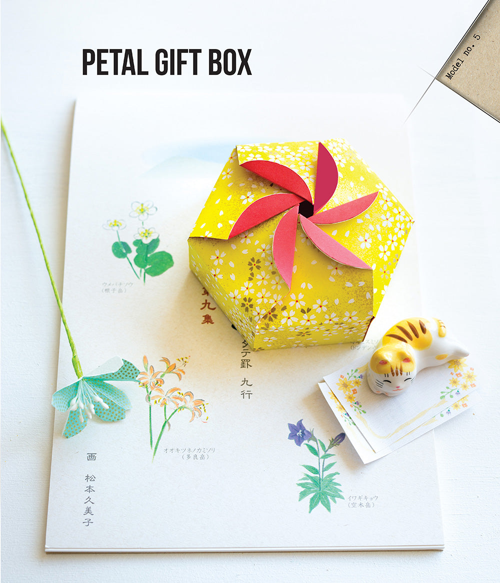 Beginner's Guide to Kirigami