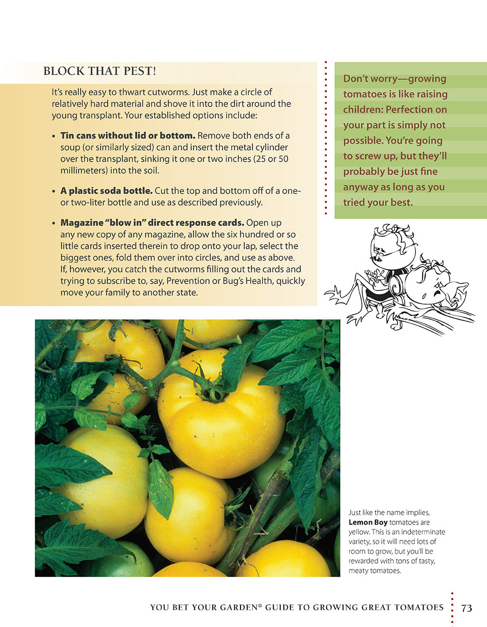 You Bet Your Garden Guide to Growing Great Tomatoes, Second Edition - Fox Chapel Publishing Co.