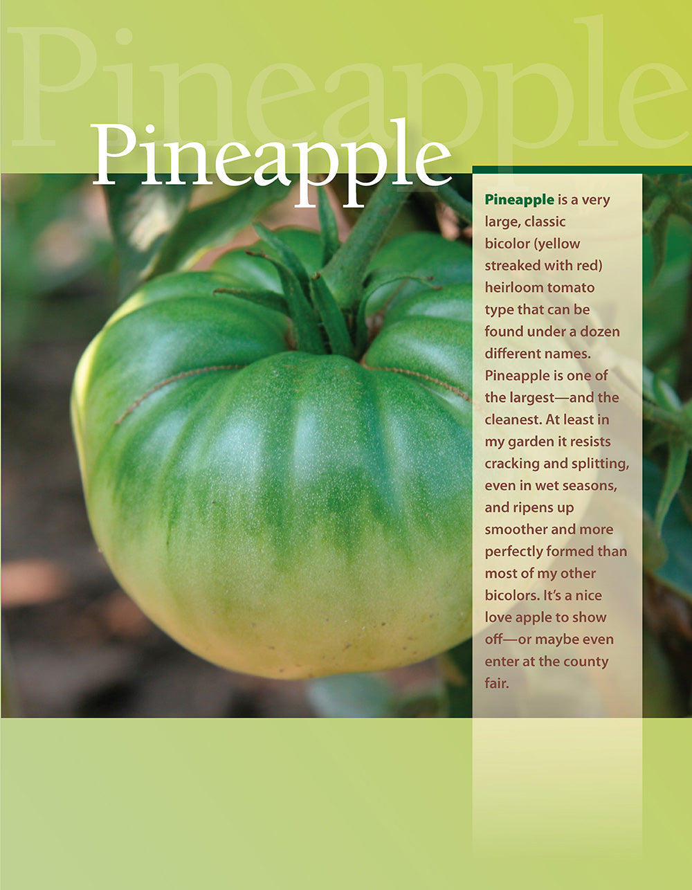 You Bet Your Garden Guide to Growing Great Tomatoes, Second Edition - Fox Chapel Publishing Co.