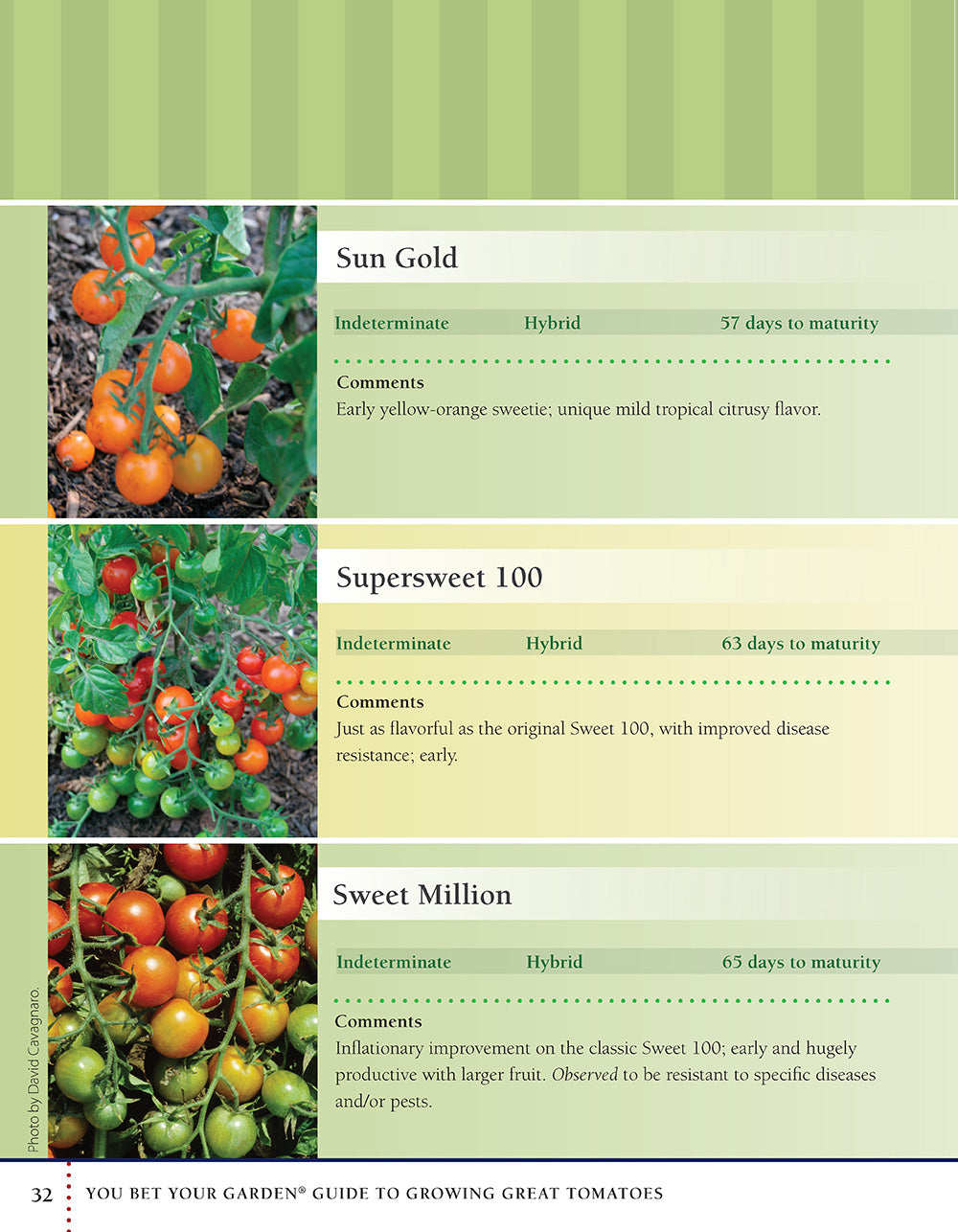 You Bet Your Garden Guide to Growing Great Tomatoes, Second Edition - Fox Chapel Publishing Co.