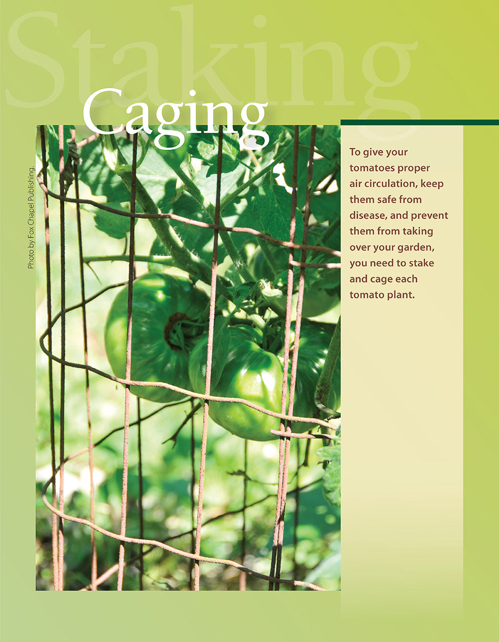 You Bet Your Garden Guide to Growing Great Tomatoes, Second Edition - Fox Chapel Publishing Co.