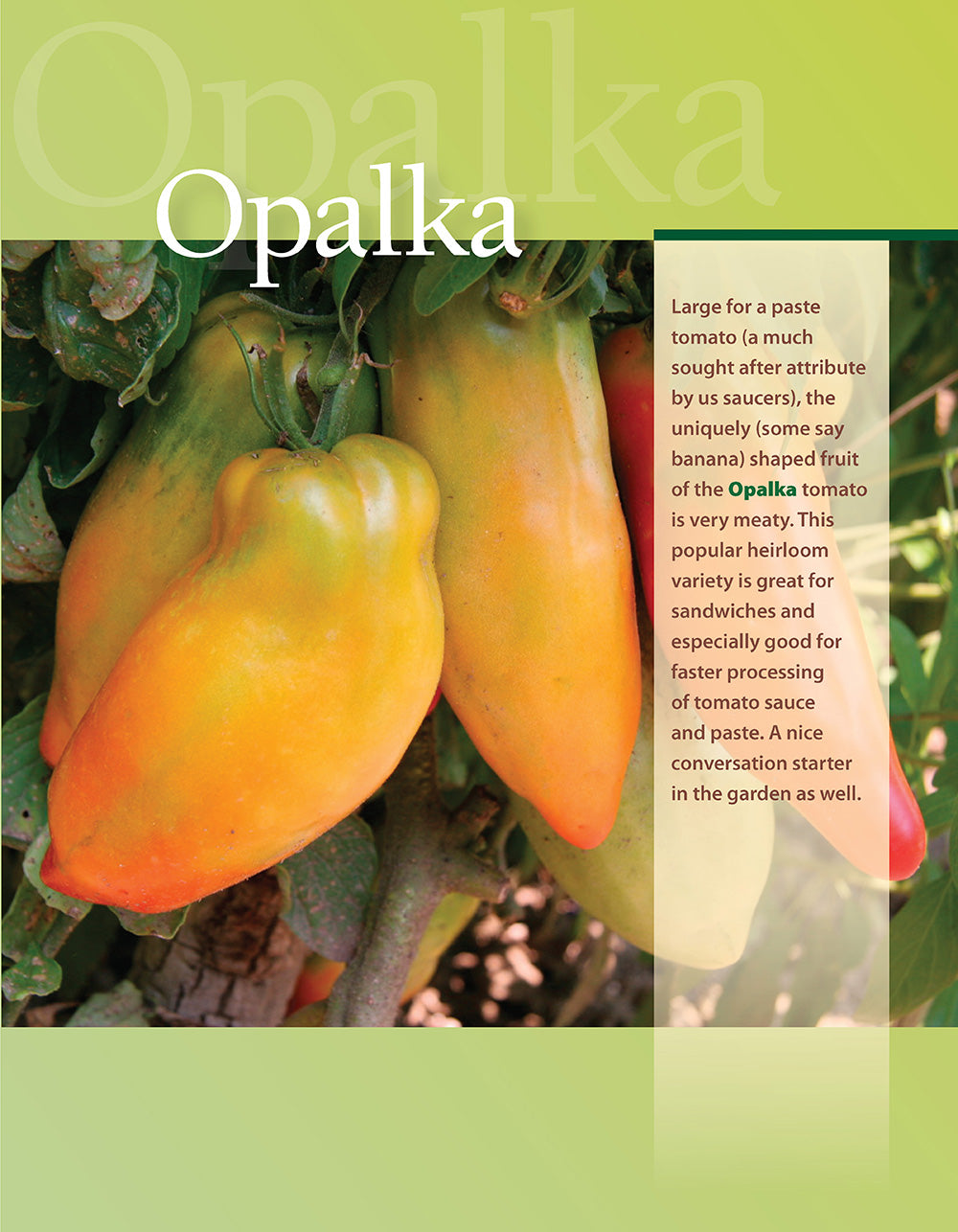You Bet Your Garden Guide to Growing Great Tomatoes, Second Edition - Fox Chapel Publishing Co.