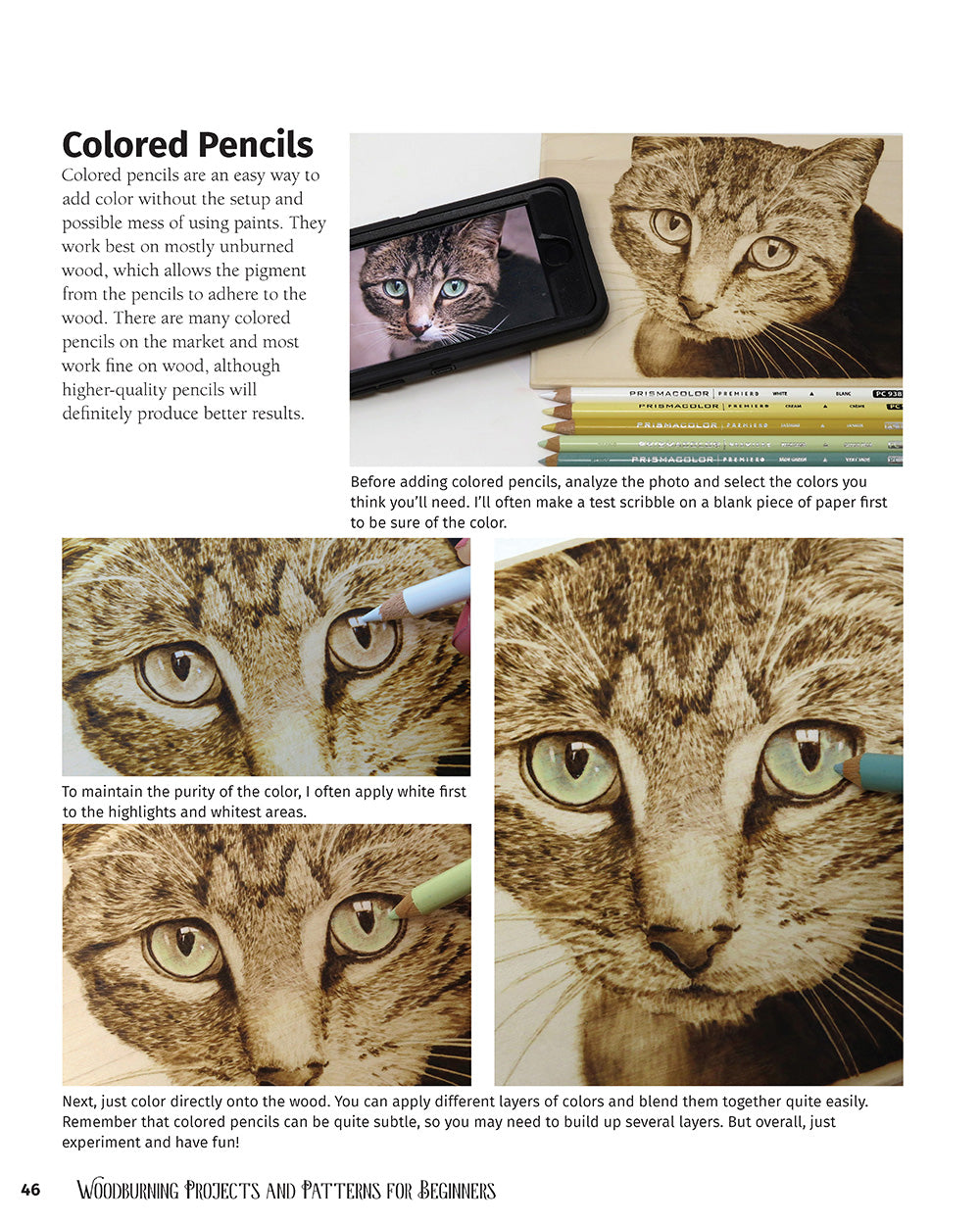 Woodburning Projects and Patterns for Beginners - Fox Chapel Publishing Co.