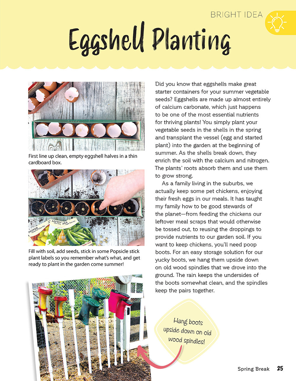 Crafty Family Ideas - Fox Chapel Publishing Co.