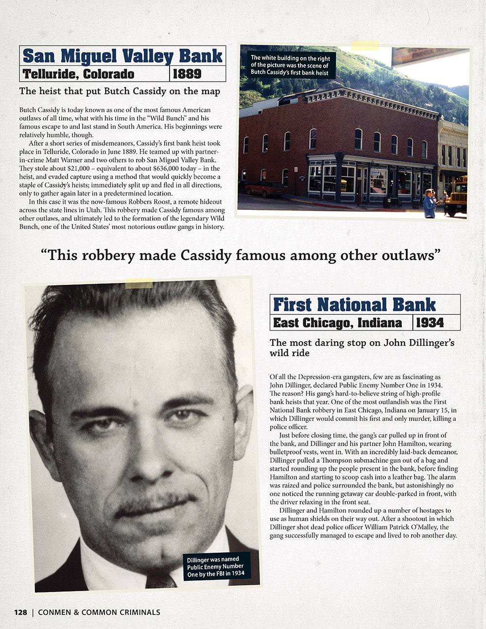 American Outlaws - Fox Chapel Publishing Co.