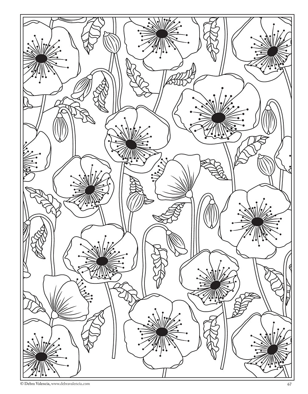 Modern Flowers Coloring Book - Fox Chapel Publishing Co.