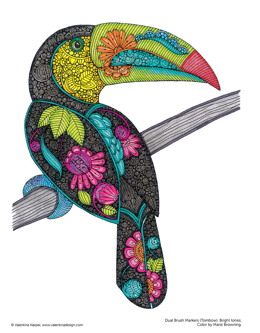 Creative Coloring Birds