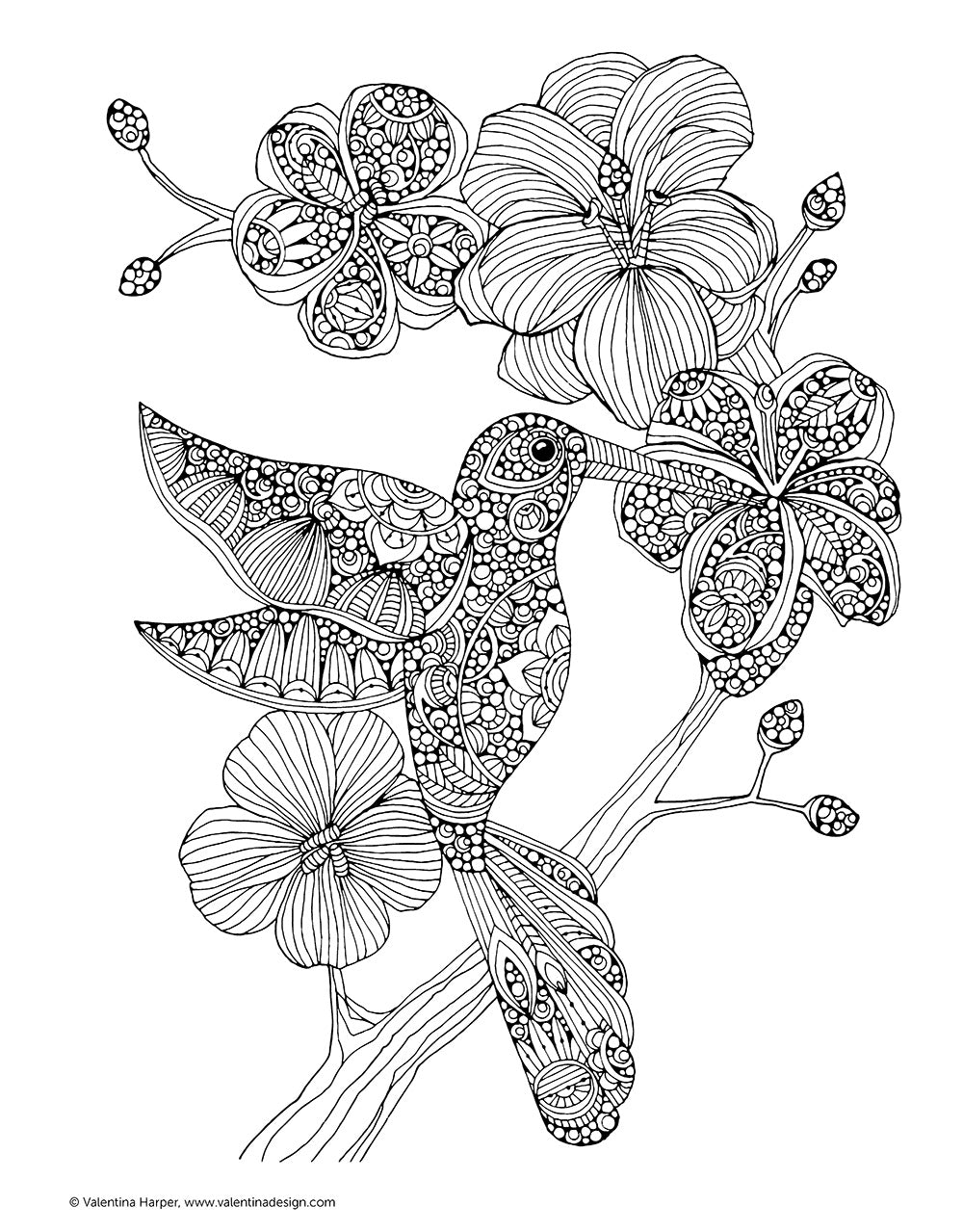 Creative Coloring Birds - Fox Chapel Publishing Co.