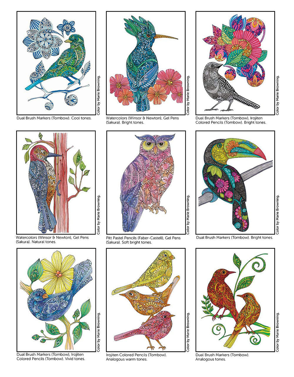 Creative Coloring Birds - Fox Chapel Publishing Co.