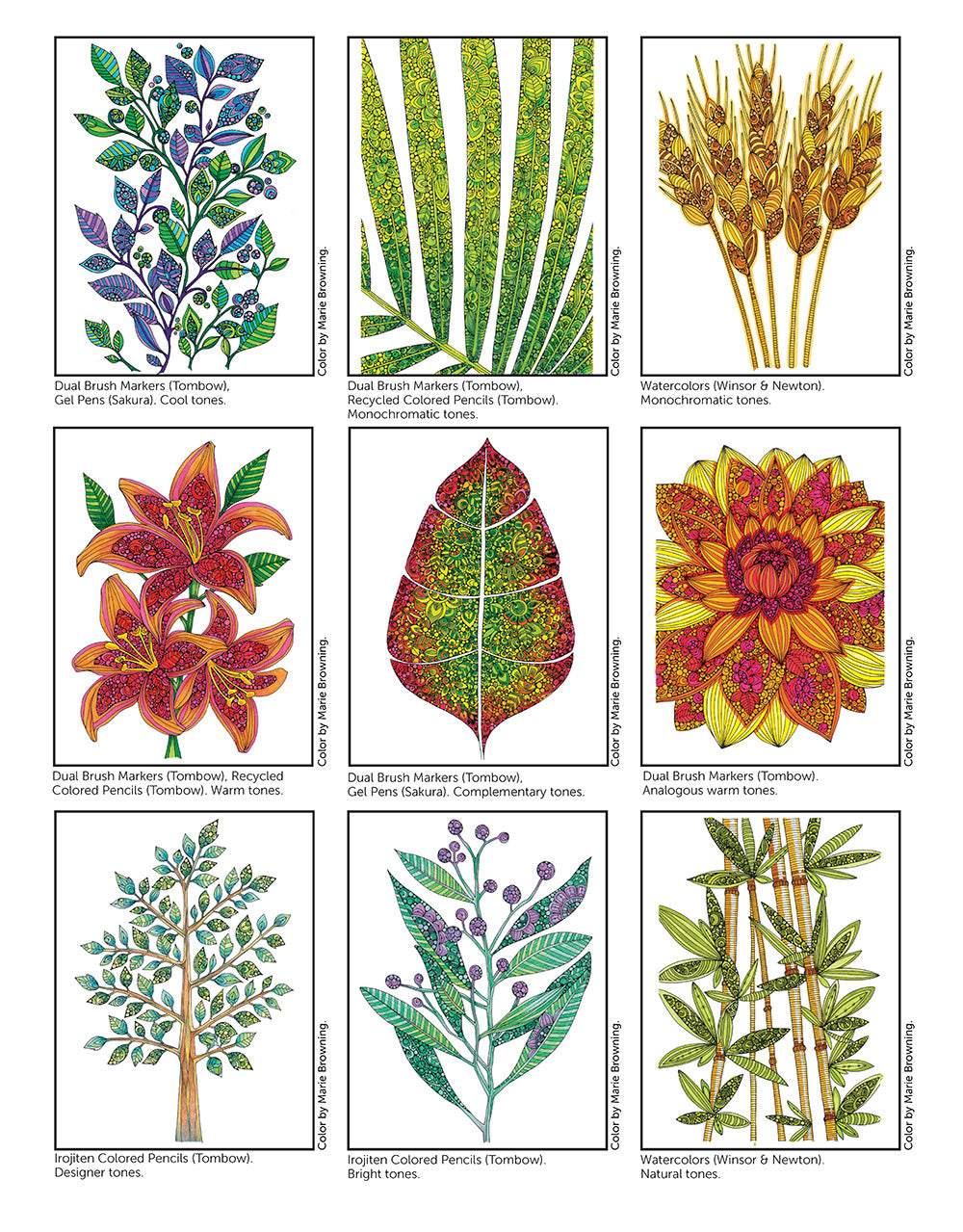 Creative Coloring Botanicals