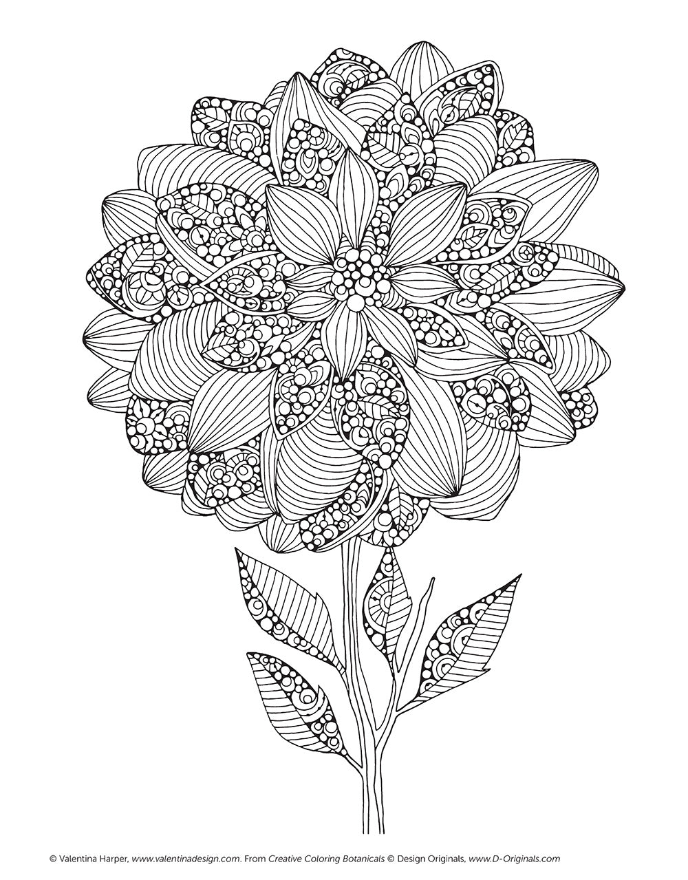 Creative Coloring Botanicals - Fox Chapel Publishing Co.