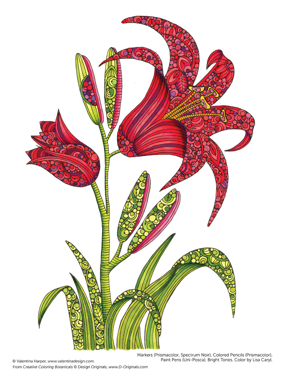 Creative Coloring Botanicals - Fox Chapel Publishing Co.