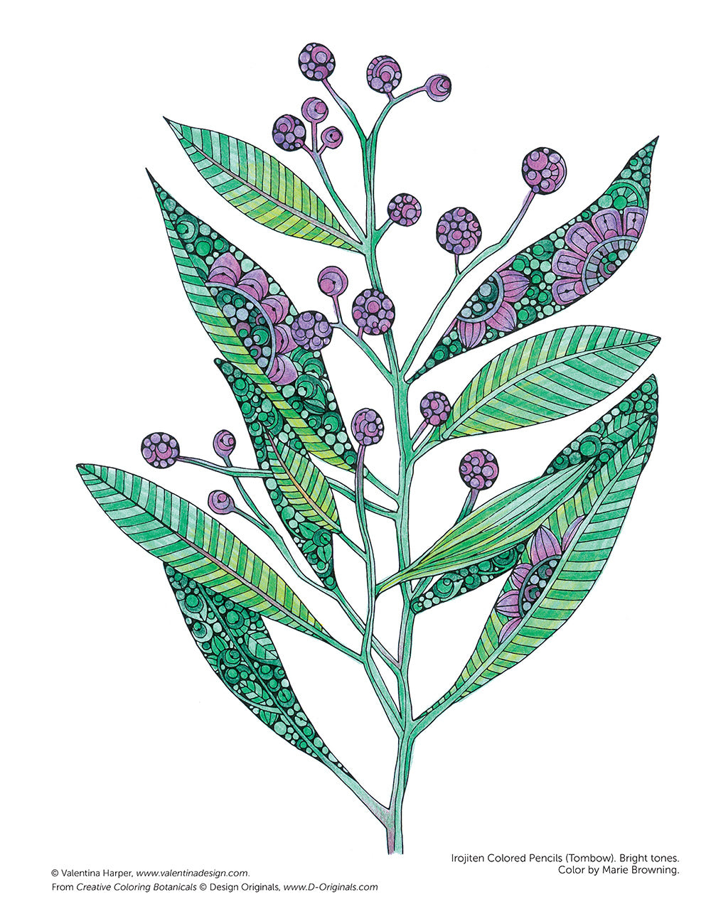 Creative Coloring Botanicals - Fox Chapel Publishing Co.