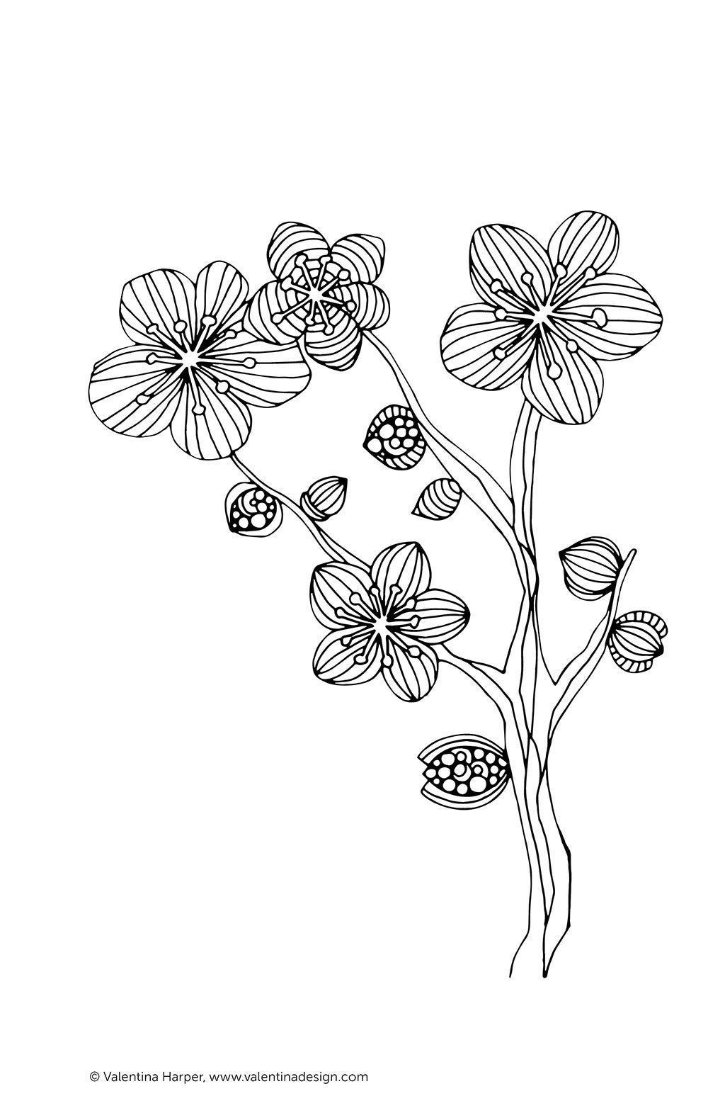 Color Zen Coloring Book - Fox Chapel Publishing Co.