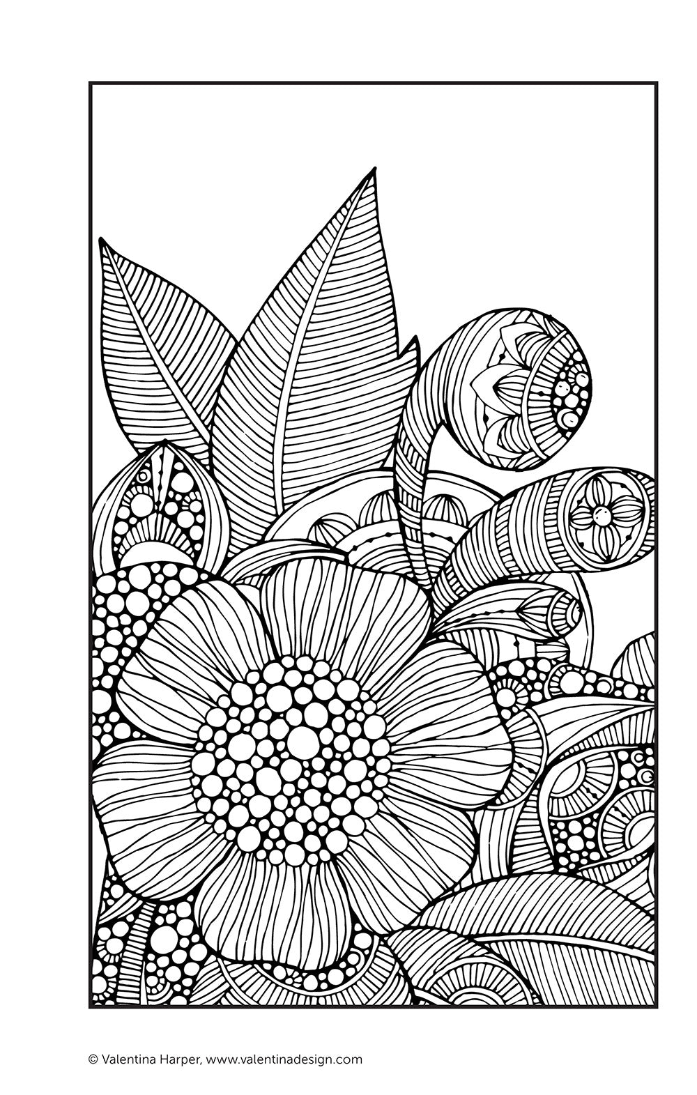 Color Zen Coloring Book