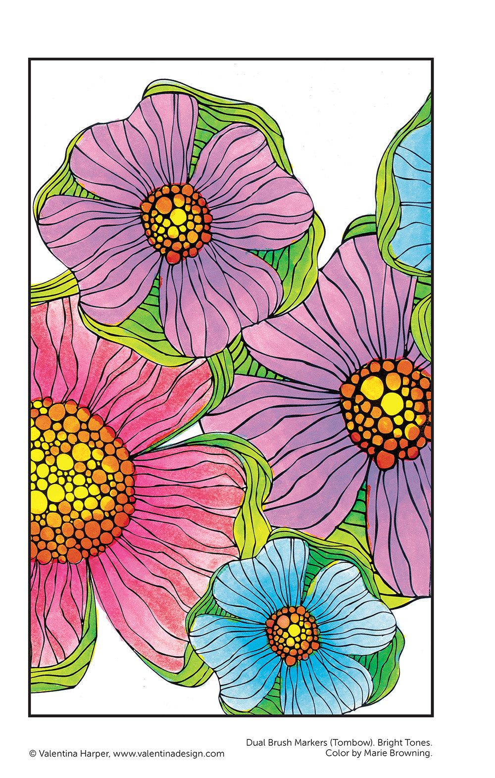 Color Calm Coloring Book - Fox Chapel Publishing Co.