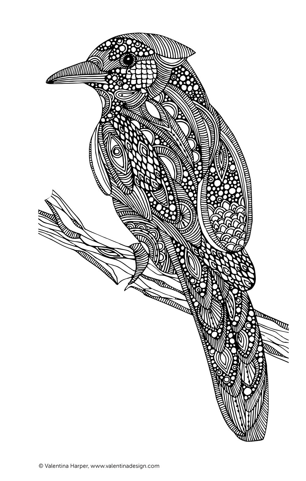 Color Calm Coloring Book - Fox Chapel Publishing Co.