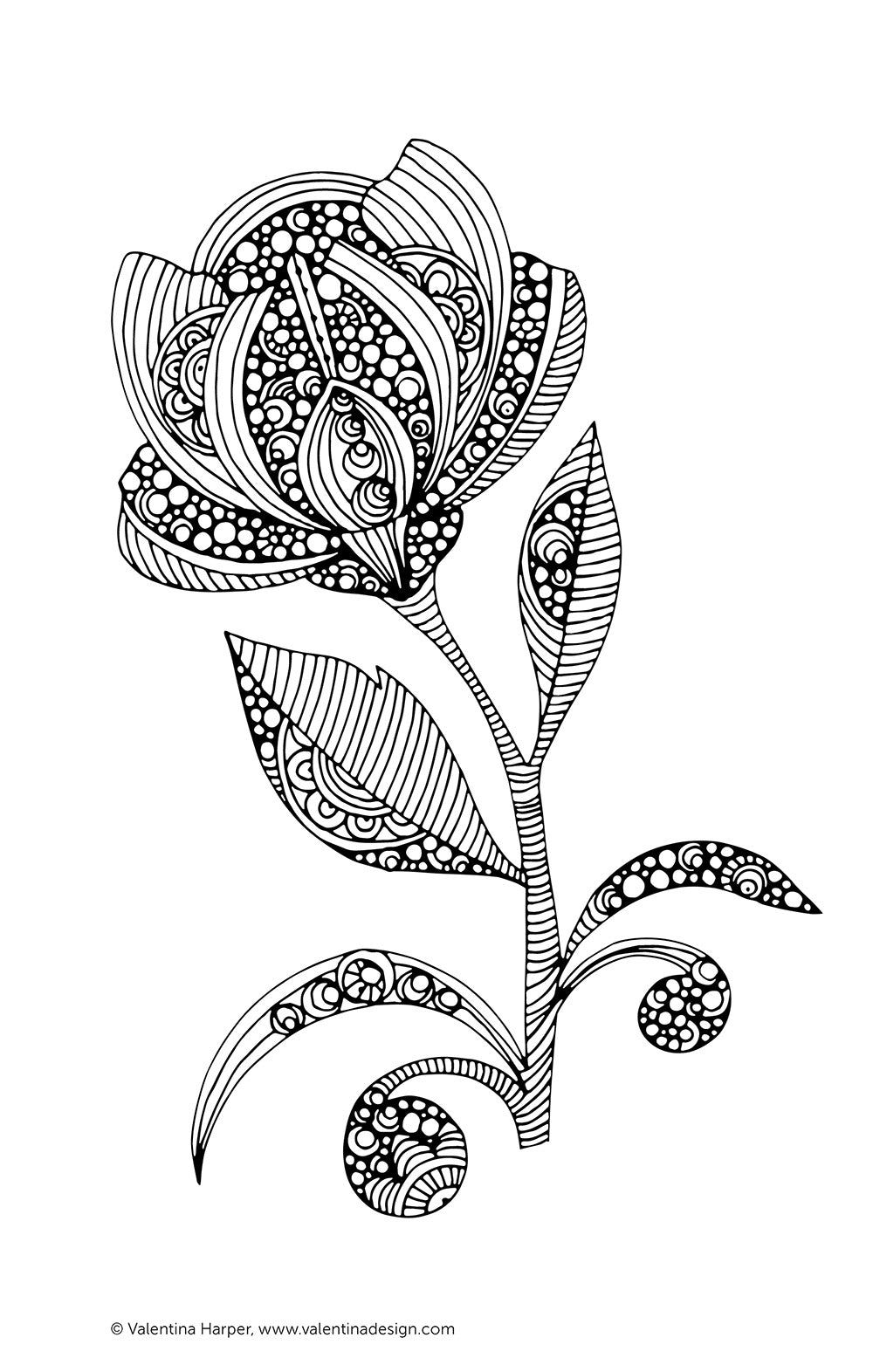 Color Calm Coloring Book - Fox Chapel Publishing Co.