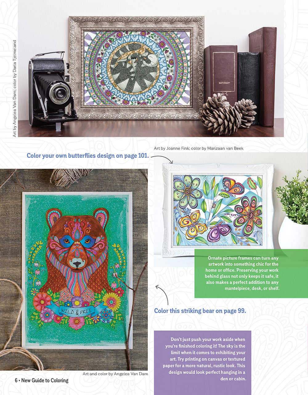 New Guide to Coloring for Crafts, Adult Coloring Books, and Other Coloristas! - Fox Chapel Publishing Co.