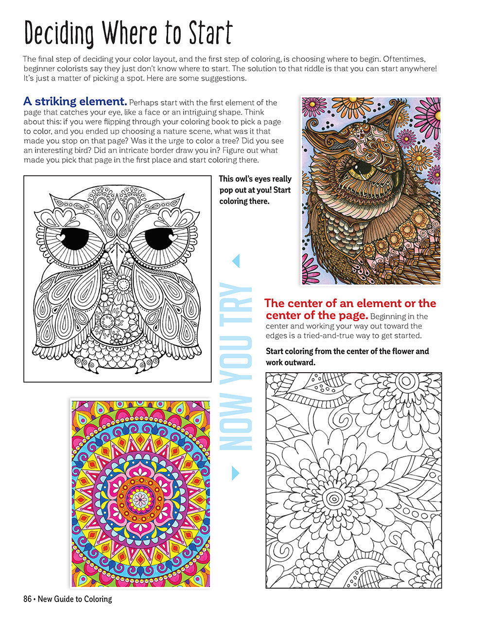 New Guide to Coloring for Crafts, Adult Coloring Books, and Other Coloristas! - Fox Chapel Publishing Co.