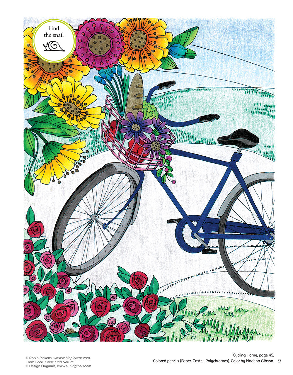 Seek, Color, Find Cheerful Words and Sayings - Fox Chapel Publishing Co.