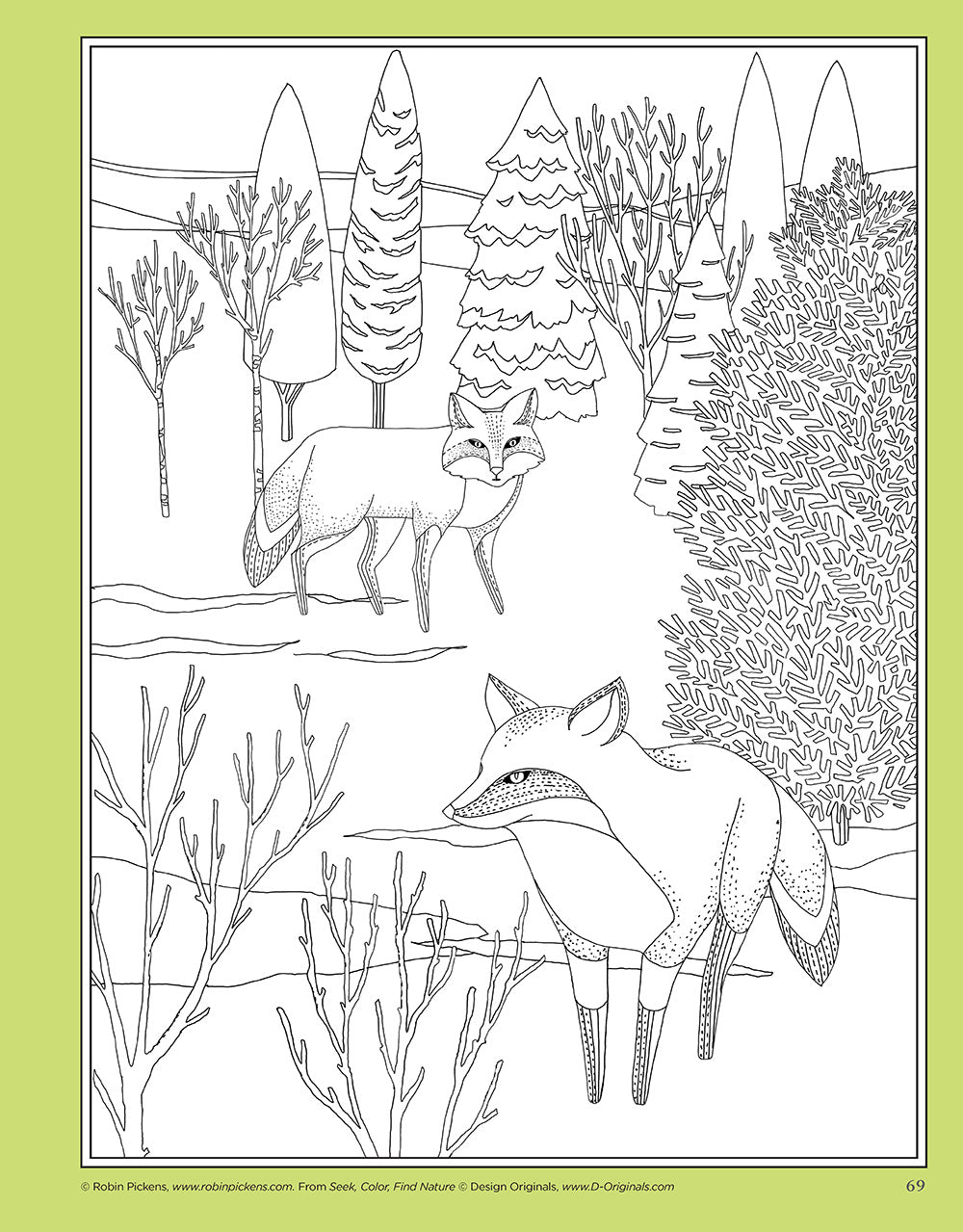 Seek, Color, Find Nature - Fox Chapel Publishing Co.