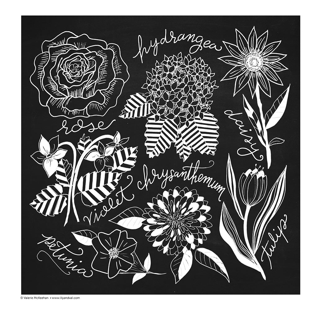 Chalk-Style Botanicals Deluxe Coloring Book - Fox Chapel Publishing Co.