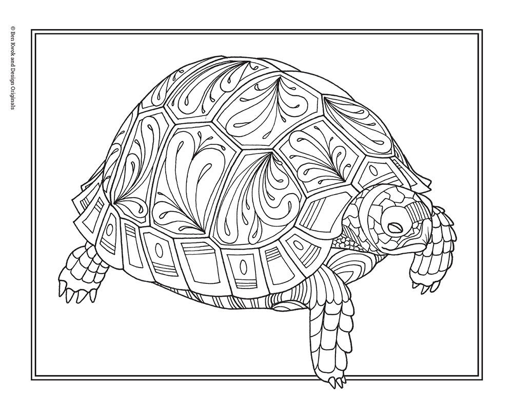 Color This! Farm & Country Coloring Book - Fox Chapel Publishing Co.