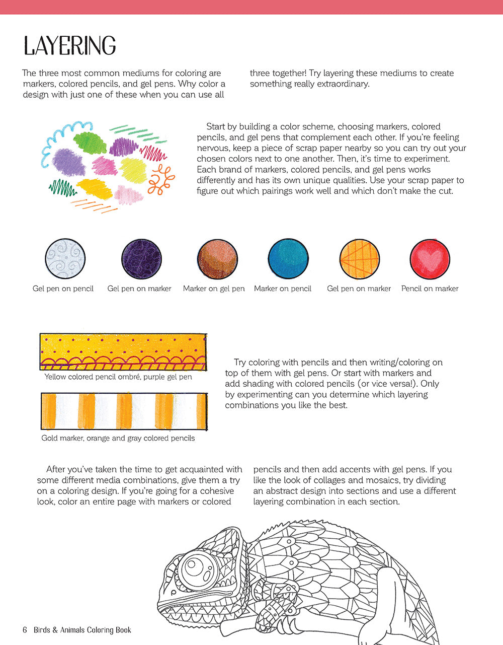 Color This! Birds & Animals Coloring Book - Fox Chapel Publishing Co.