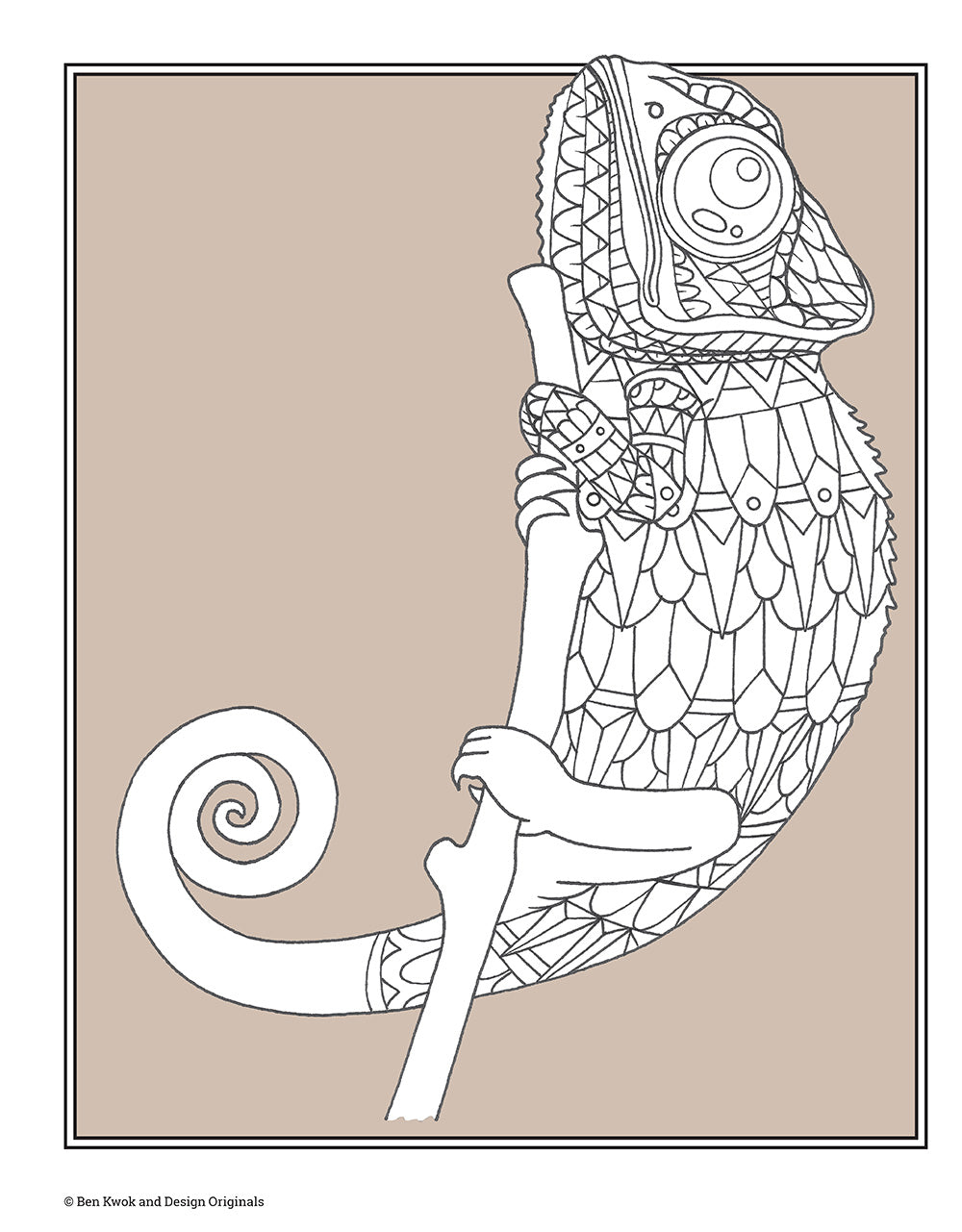 Color This! Birds & Animals Coloring Book - Fox Chapel Publishing Co.