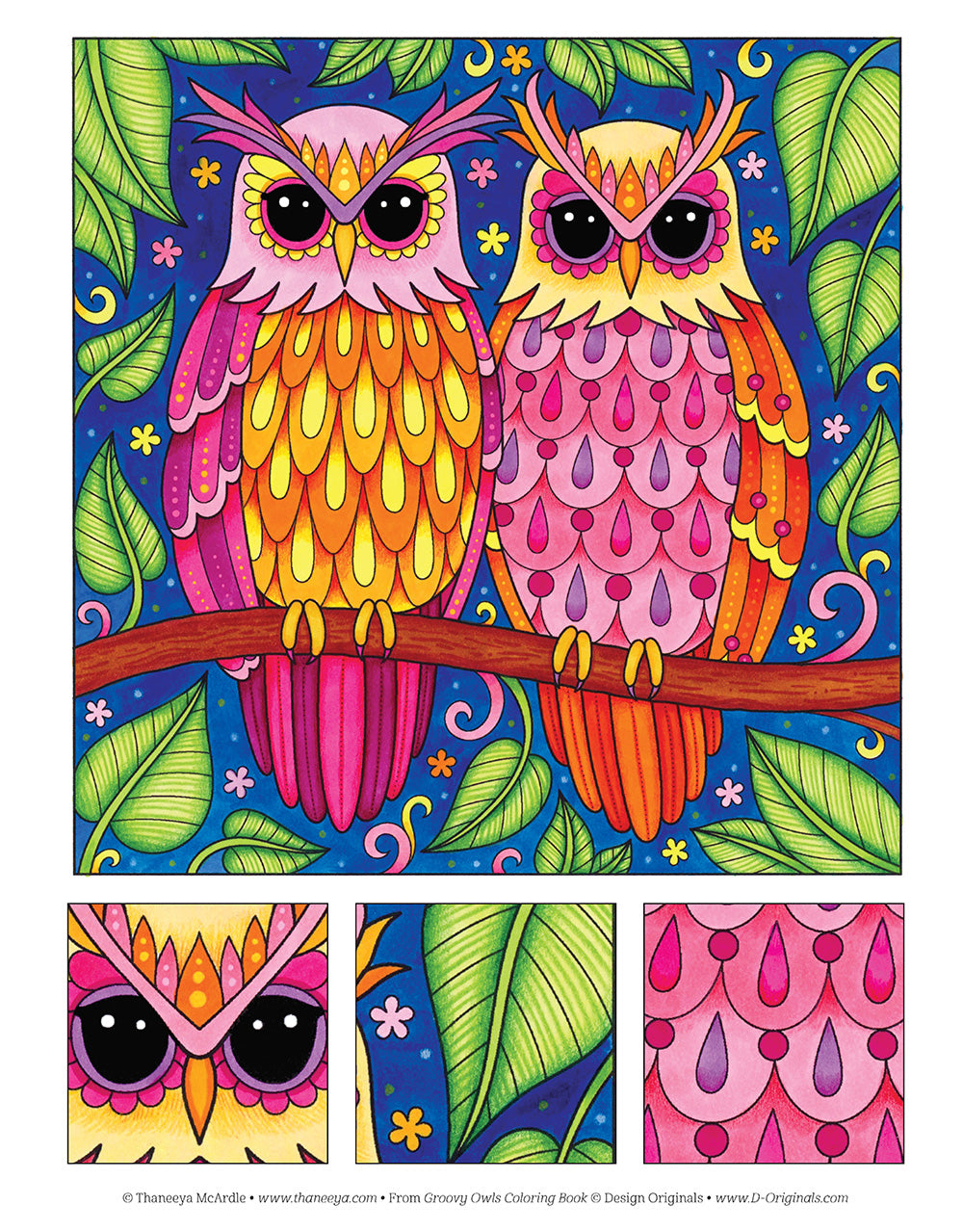 Groovy Owls Coloring Book - Fox Chapel Publishing Co.