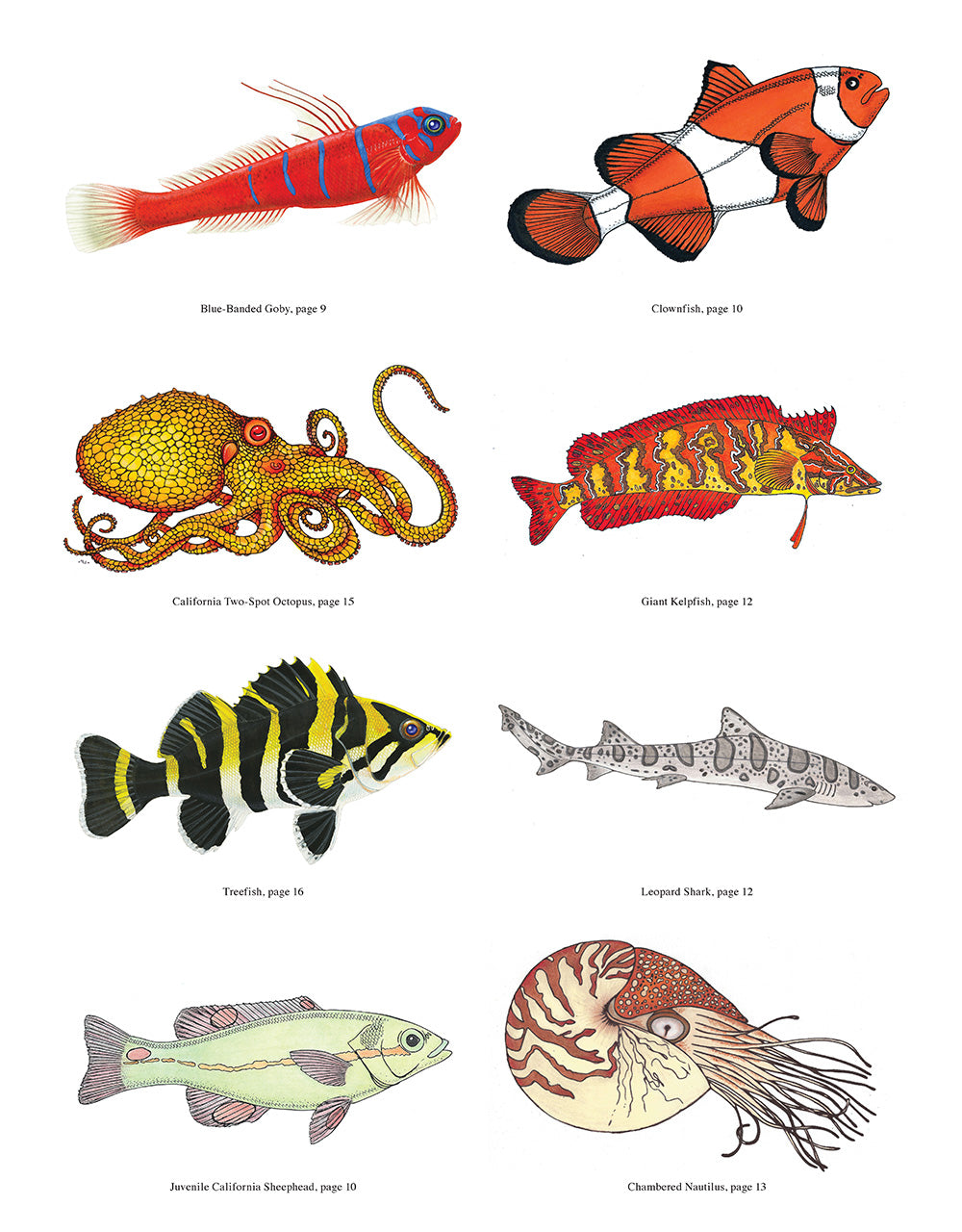 Wild Oceans Coloring Book - Fox Chapel Publishing Co.