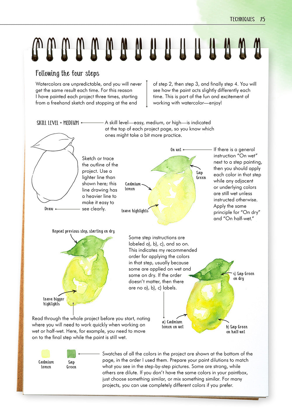 Watercolor Success in Four Steps