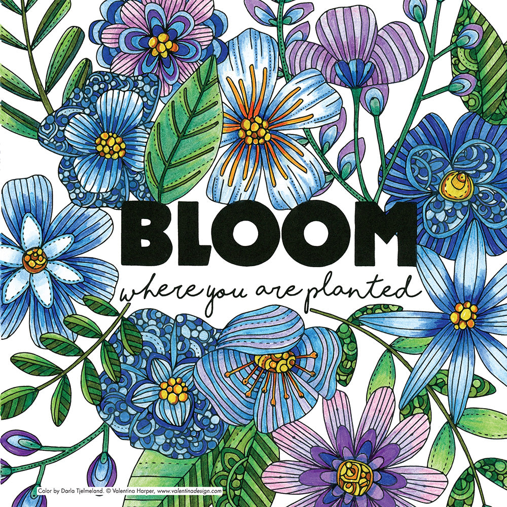 Hidden Language of Flowers - Fox Chapel Publishing Co.