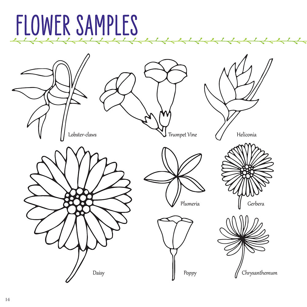 Hidden Language of Flowers - Fox Chapel Publishing Co.