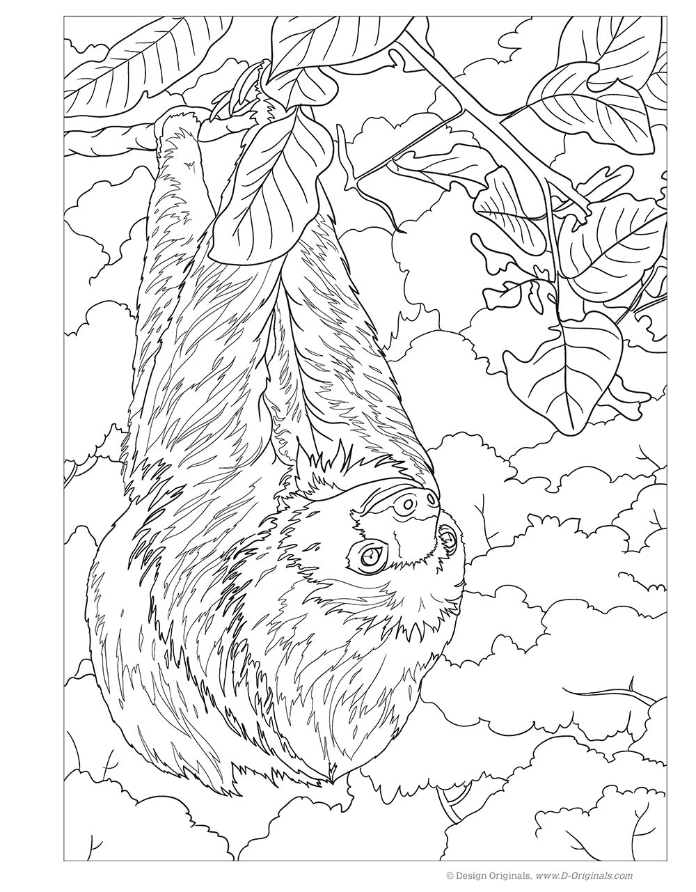 Hidden Animals Coloring Book