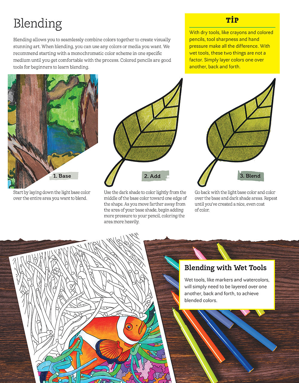 Hidden Animals Coloring Book - Fox Chapel Publishing Co.