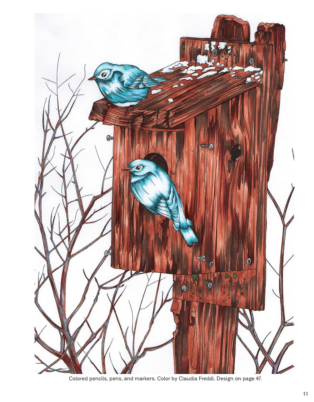 Joys of Nature Coloring Book - Fox Chapel Publishing Co.