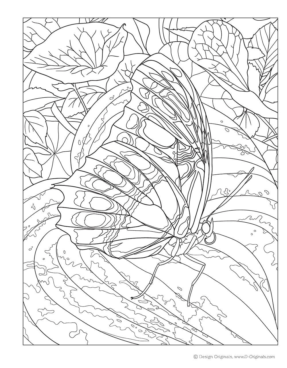 Joys of Nature Coloring Book