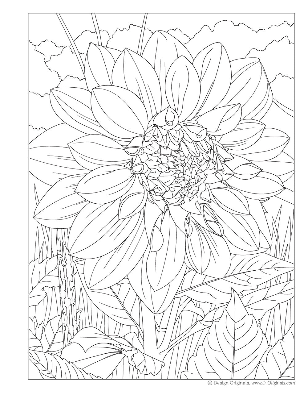 Joys of Nature Coloring Book