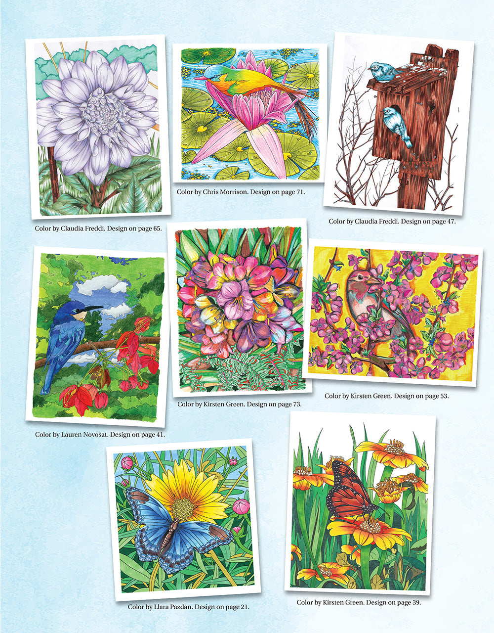 Joys of Nature Coloring Book