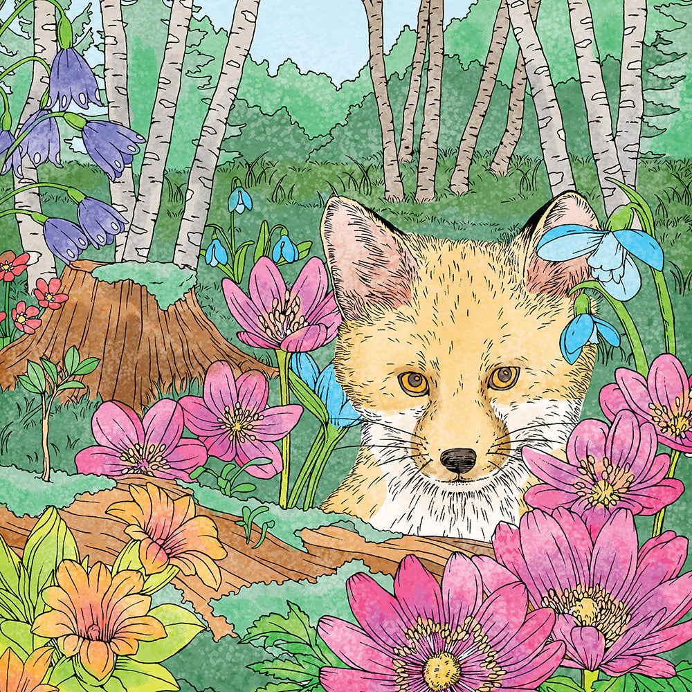 Symphony of Cute Animals - Fox Chapel Publishing Co.