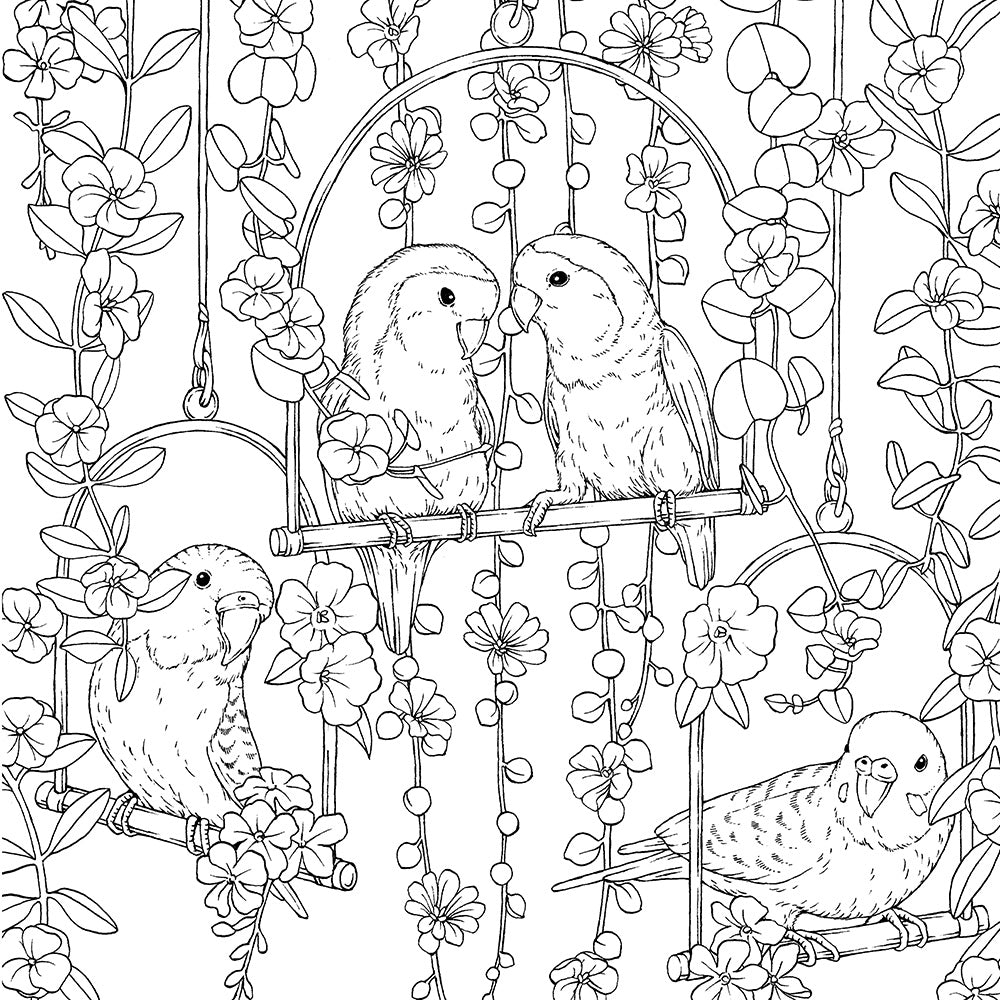Symphony of Cute Animals - Fox Chapel Publishing Co.
