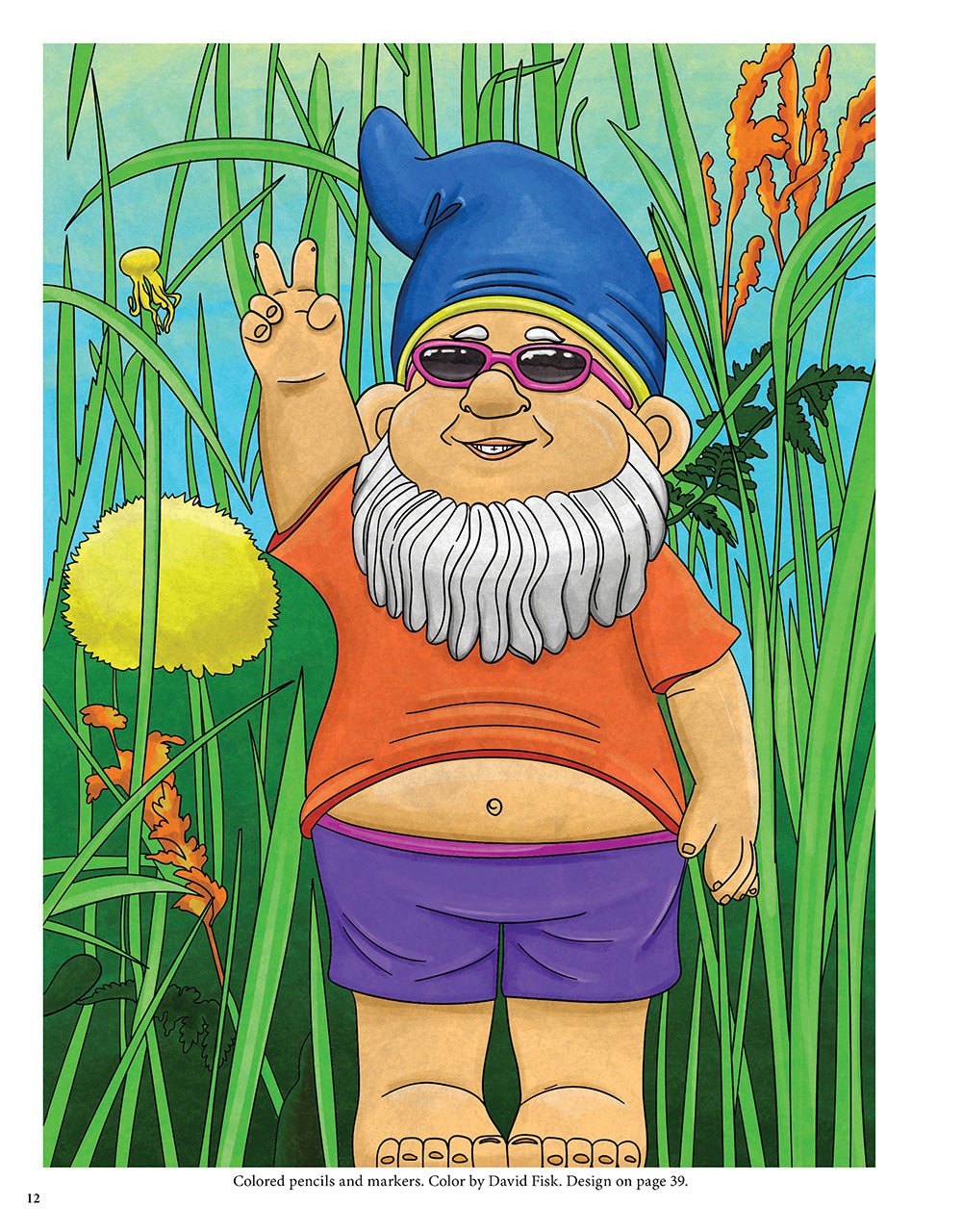 Garden Gnomes Coloring Book