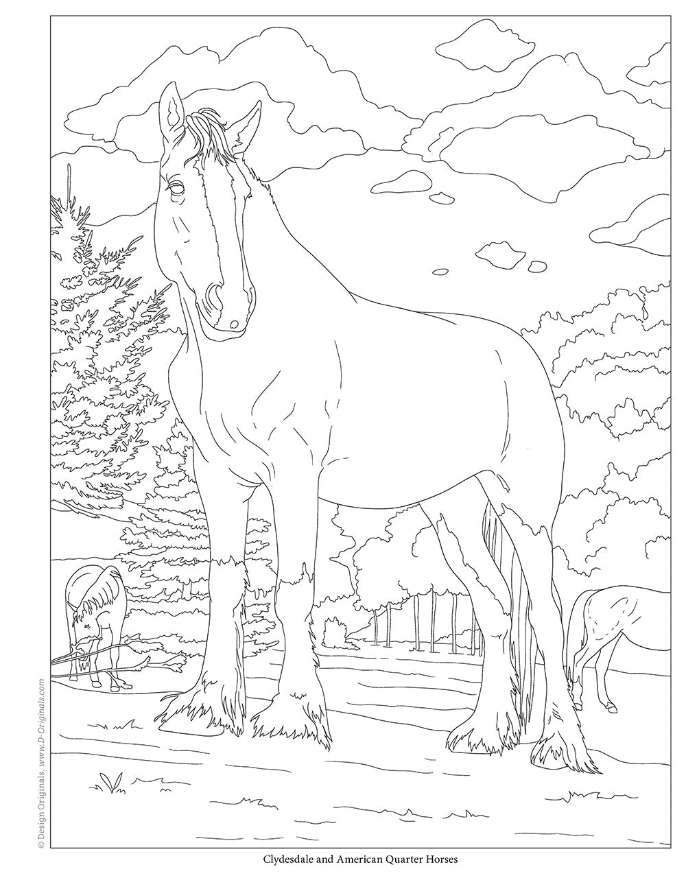 Horses Coloring Book - Fox Chapel Publishing Co.