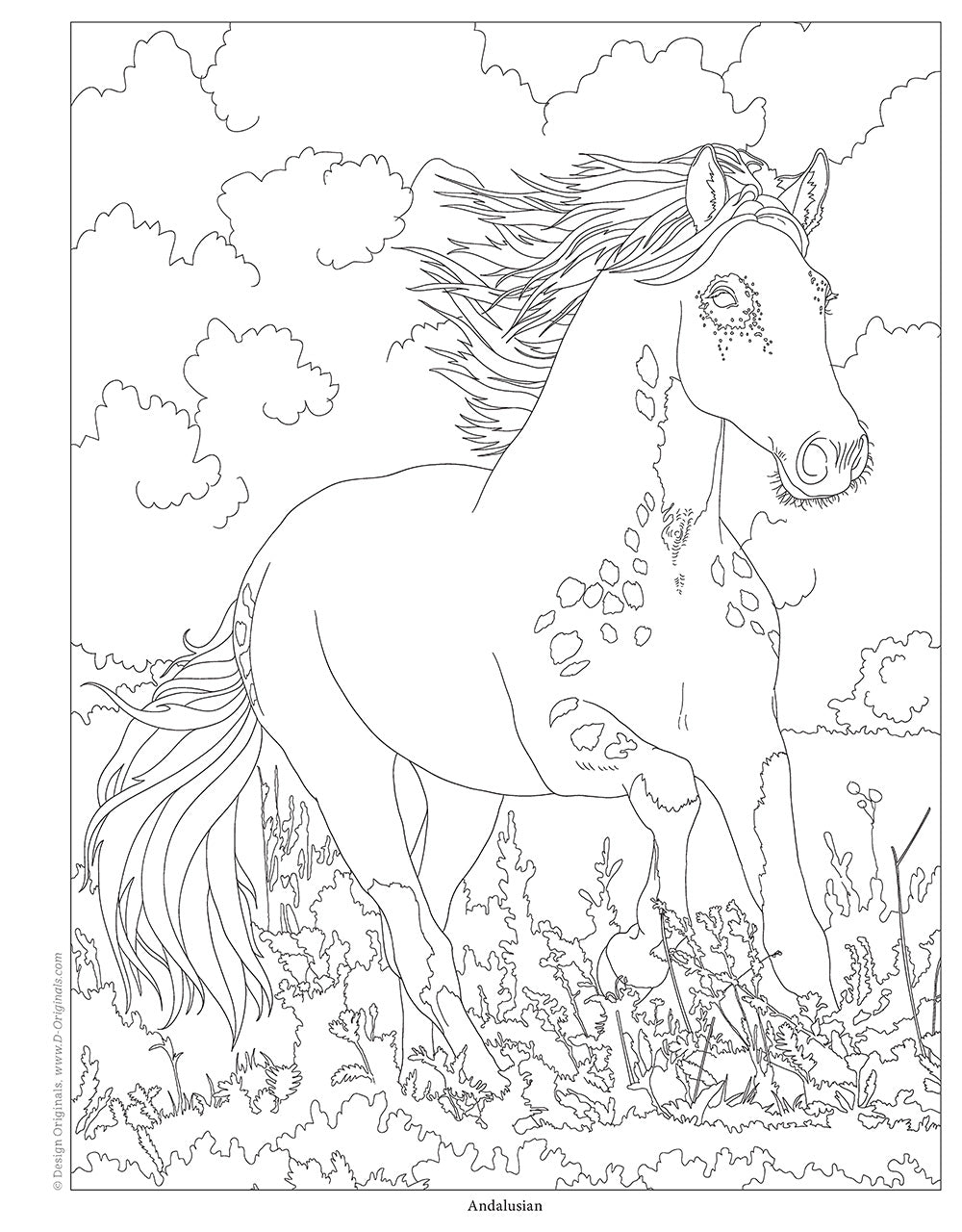 Horses Coloring Book - Fox Chapel Publishing Co.