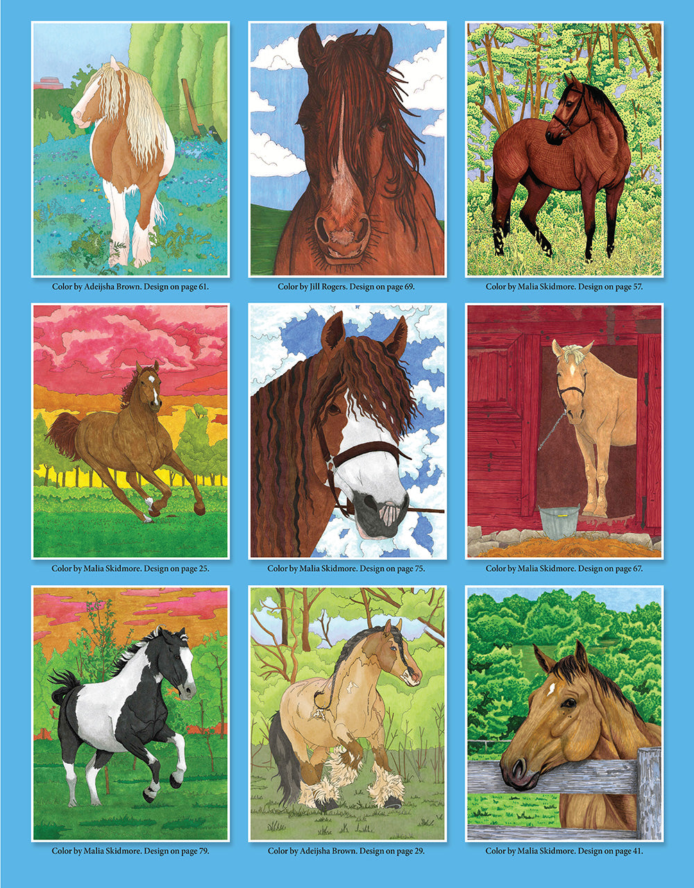 Horses Coloring Book - Fox Chapel Publishing Co.