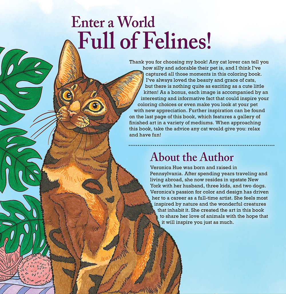 Cats & Kittens Coloring Book - Fox Chapel Publishing Co.
